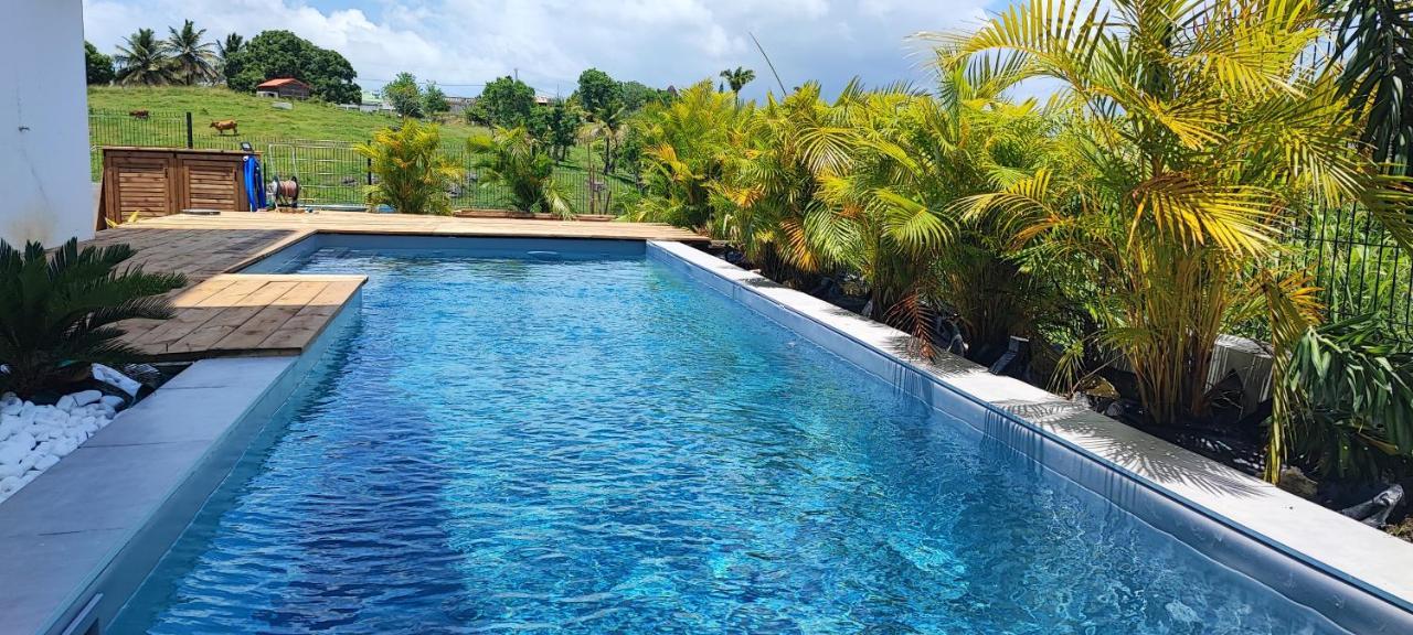 فيلا Kukumi'S House Avec Piscine ساينت آن المظهر الخارجي الصورة